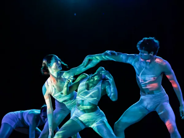 HuMangrove — photo 2