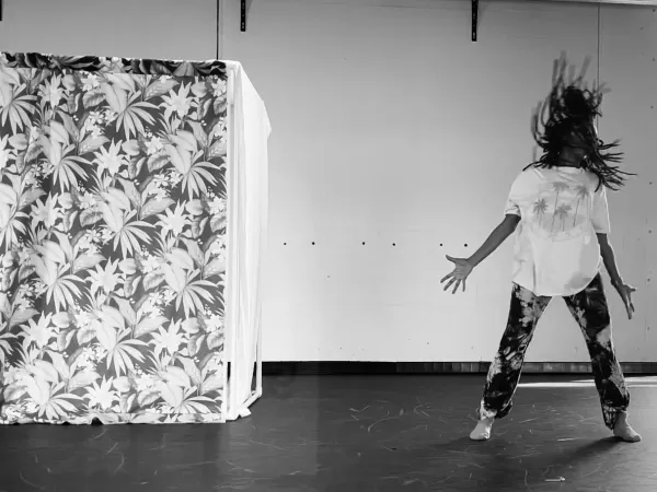 Tania Vergara Dance-Theater — photo 11