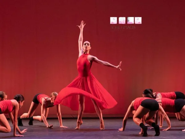 Vida — photo 2
